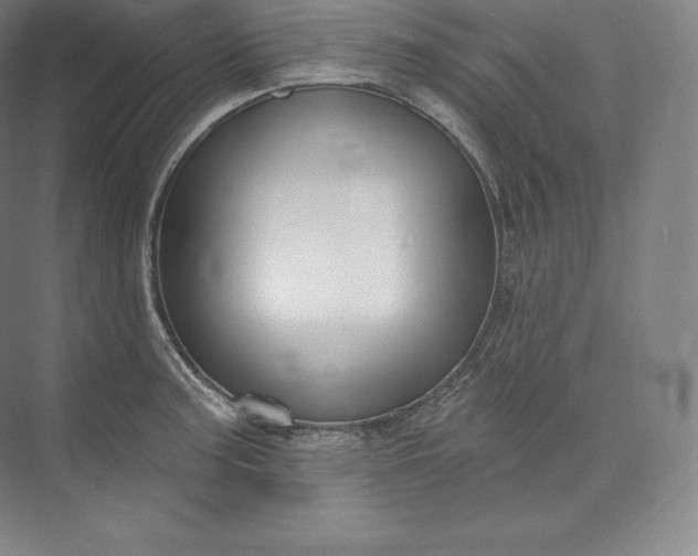 X0000073501187200608140900