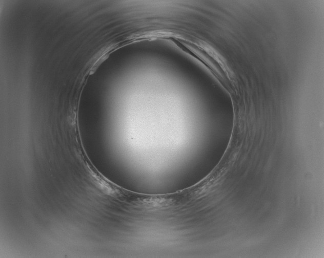 X0000073501193200608140900