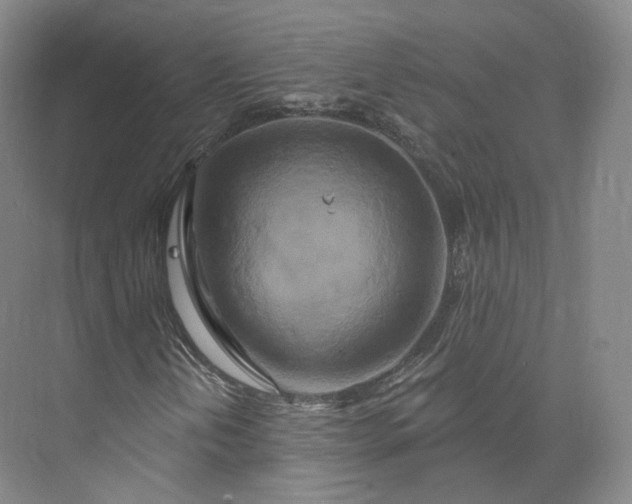 X0000073501202200608140859