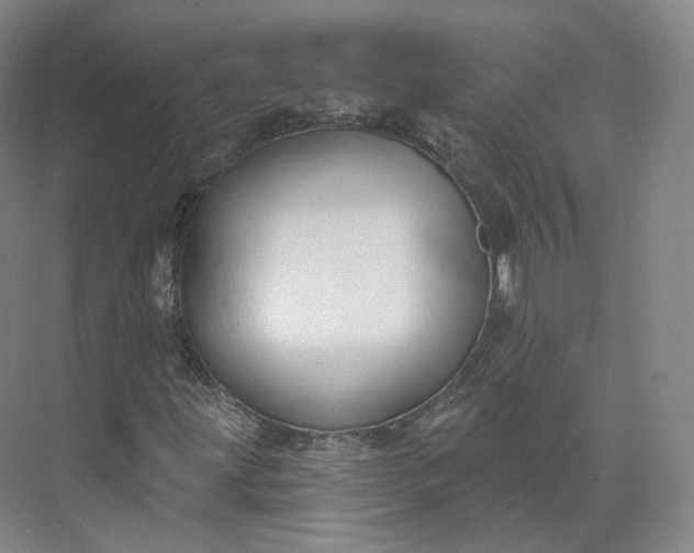 X0000073501203200608140859