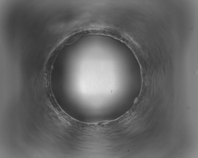 X0000073501208200608140859
