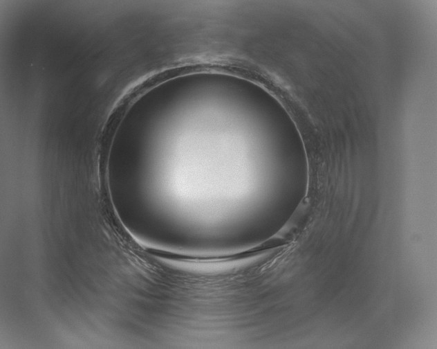 X0000073501214200608140859