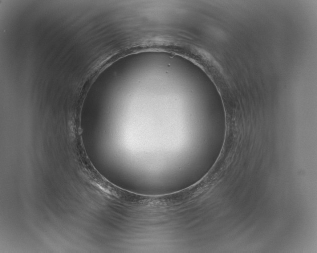 X0000073501217200608140859