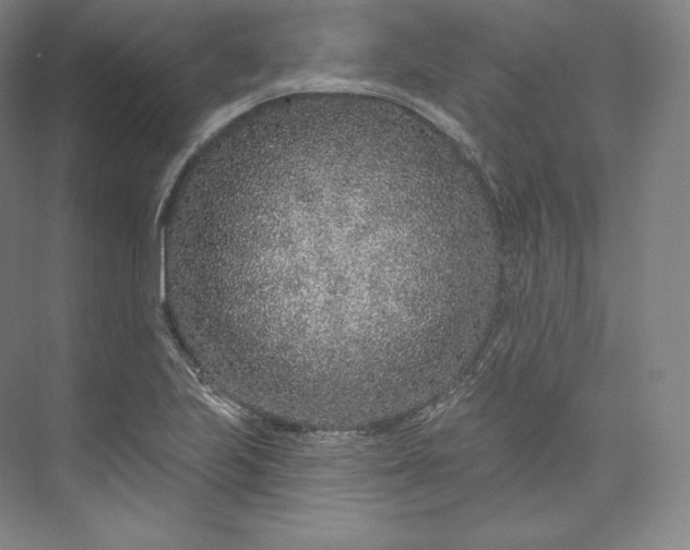 X0000073501223200608140859