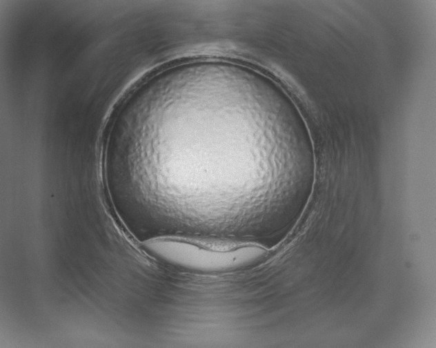 X0000073501224200608140859