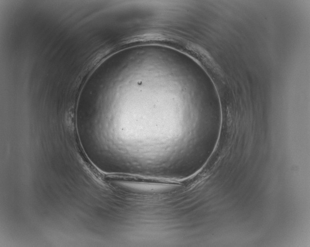 X0000073501225200608140859