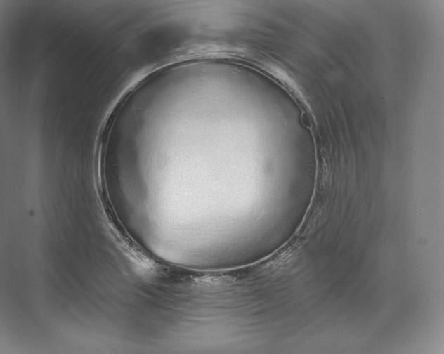 X0000073501227200608140859