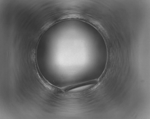 X0000073501233200608140859