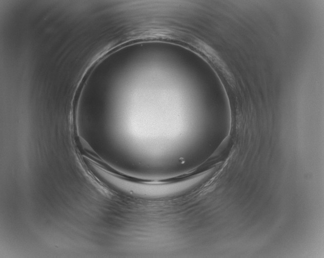 X0000073501234200608140900