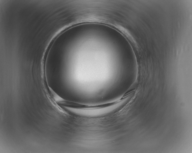 X0000073501238200608140900