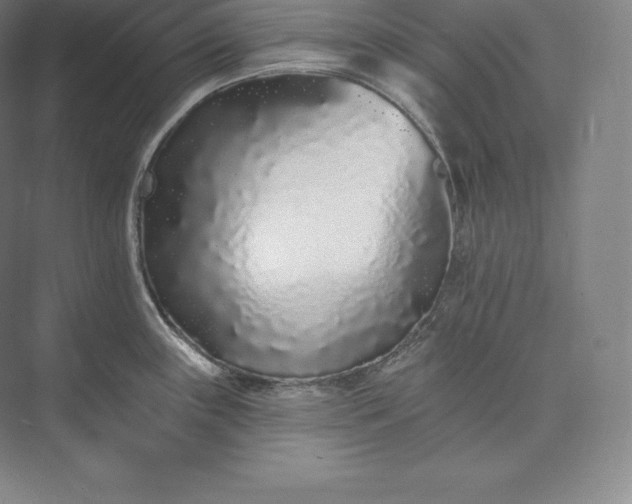 X0000073501243200608140900