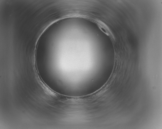 X0000073501244200608140900
