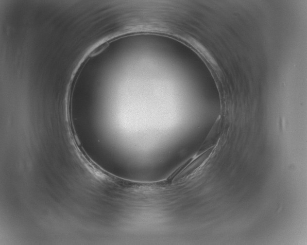 X0000073501246200608140900