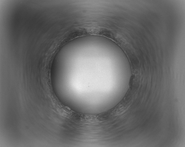 X0000073501249200608140859