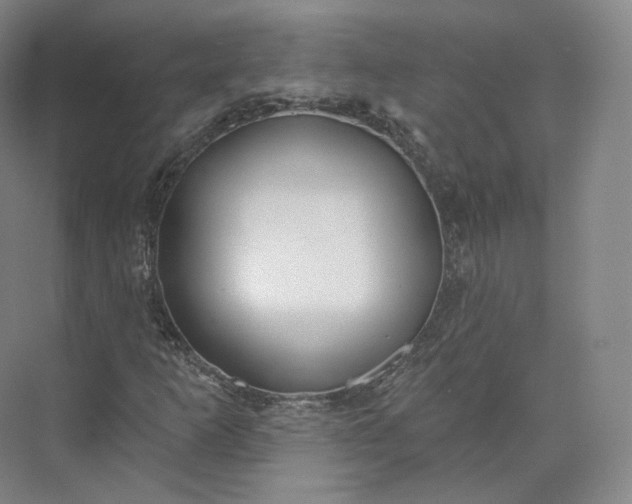 X0000073501253200608140859