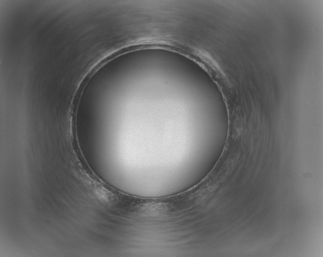 X0000073501268200608140859