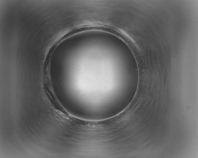 X0000073501269200608140859