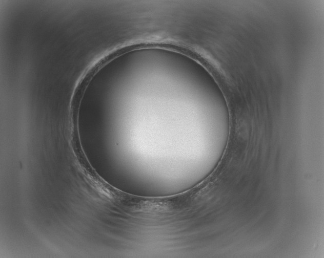 X0000073501270200608140859