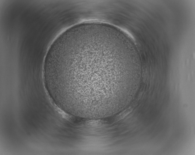 X0000073501279200608140858