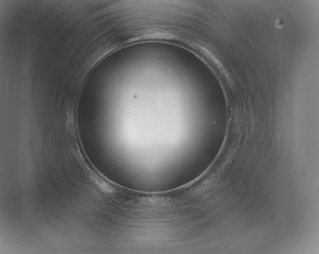X0000073501281200608140858