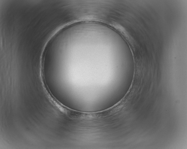 X0000073501286200608140858