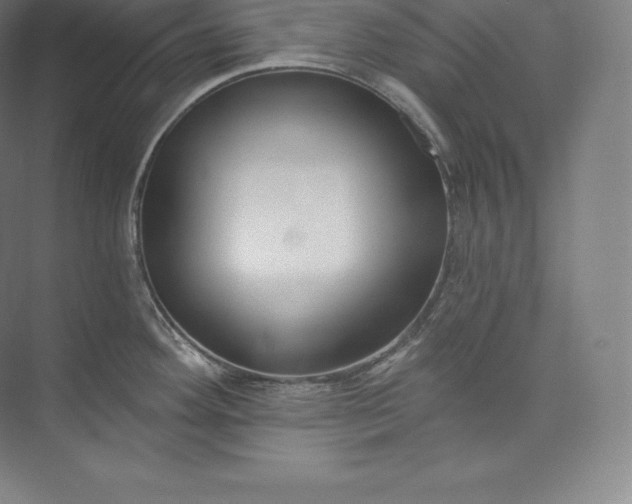 X0000073501292200608140858