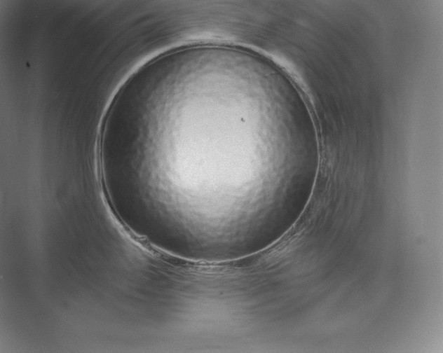 X0000073501295200608140858