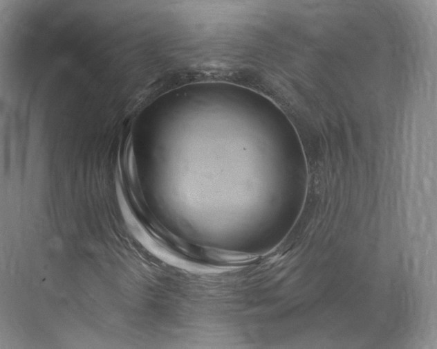 X0000073501298200608140857