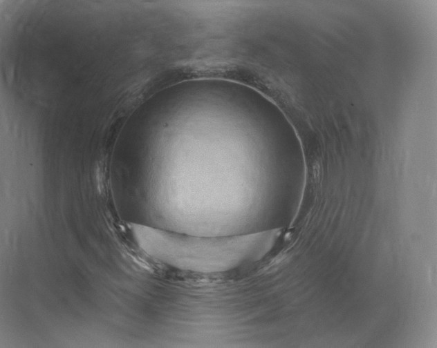 X0000073501300200608140857