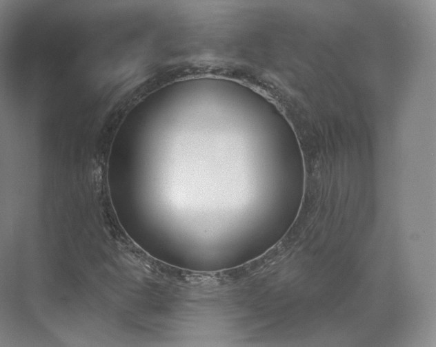 X0000073501302200608140857
