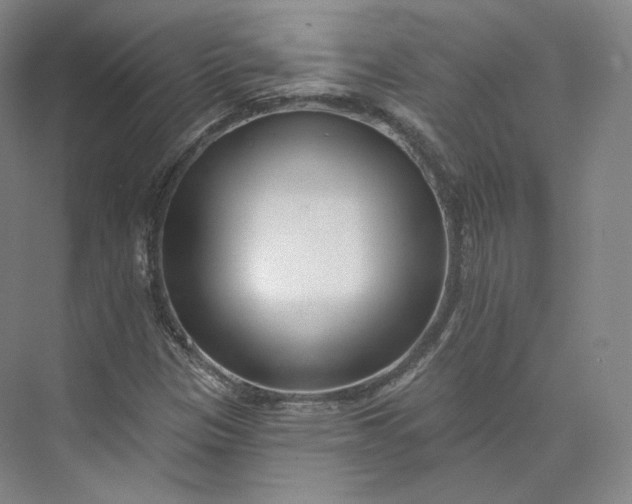 X0000073501305200608140857