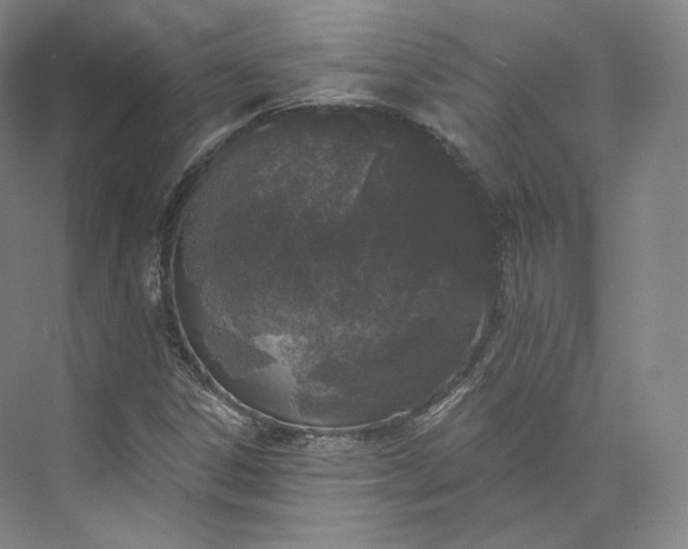 X0000073501306200608140857