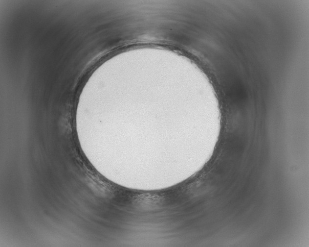 X0000073501314200608140858