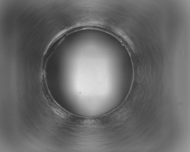 X0000073501316200608140858