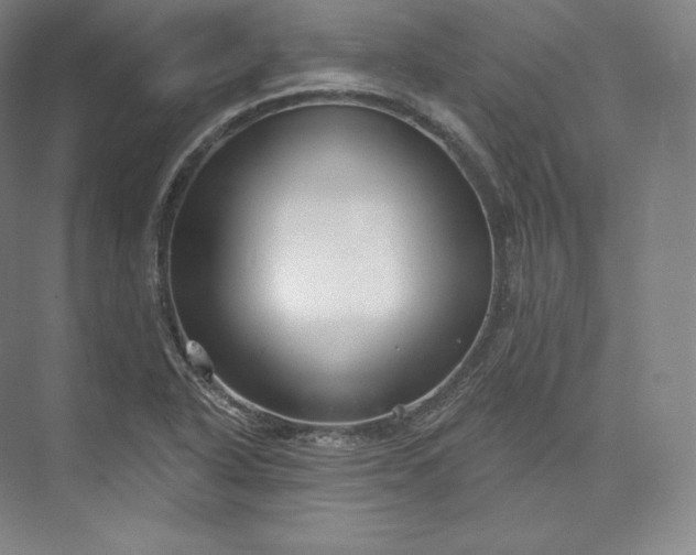 X0000073501318200608140858