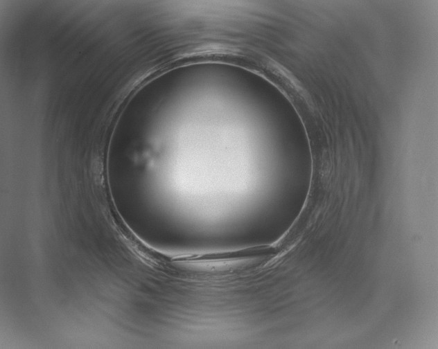 X0000073501321200608140858