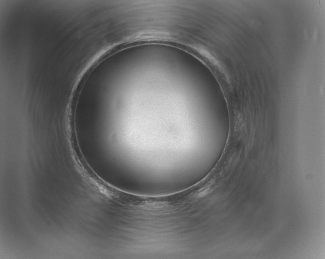 X0000073501325200608140858