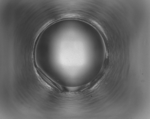 X0000073501330200608140858
