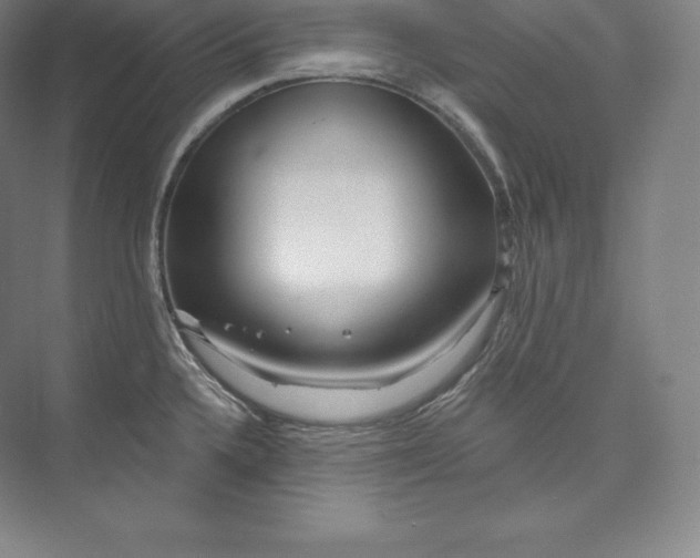 X0000073501336200608140858
