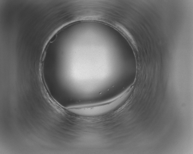 X0000073501340200608140858