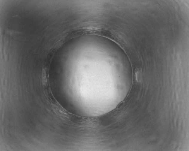 X0000073501347200608140857