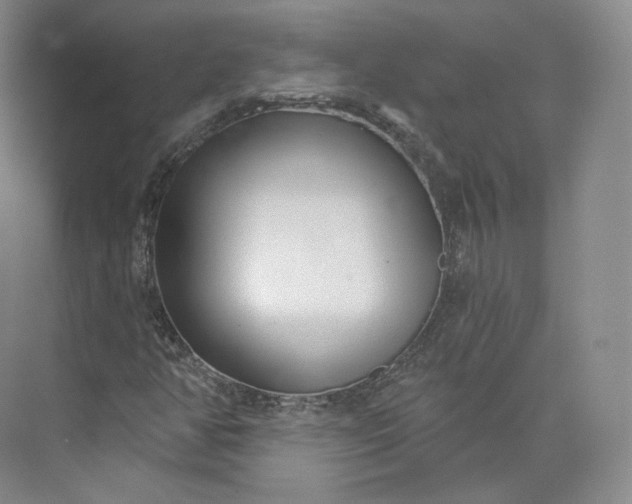 X0000073501350200608140857