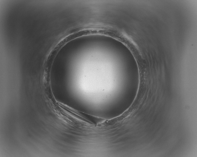 X0000073501352200608140857