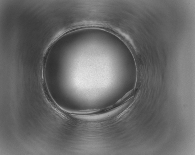 X0000073501365200608140857