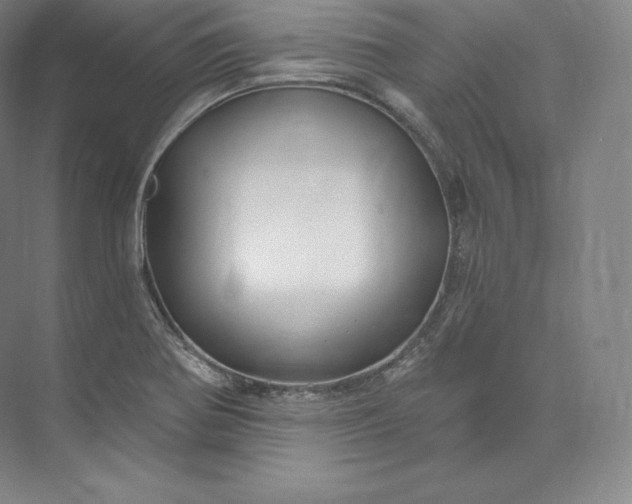 X0000073501370200608140857