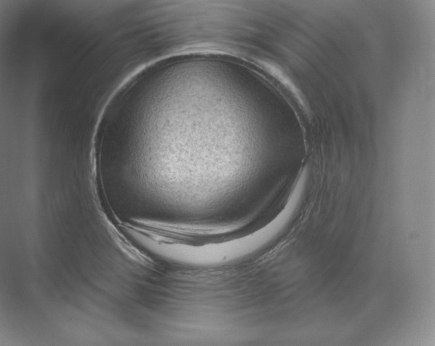 X0000073501372200608140857