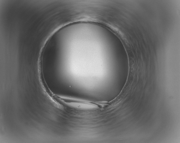 X0000073501375200608140857