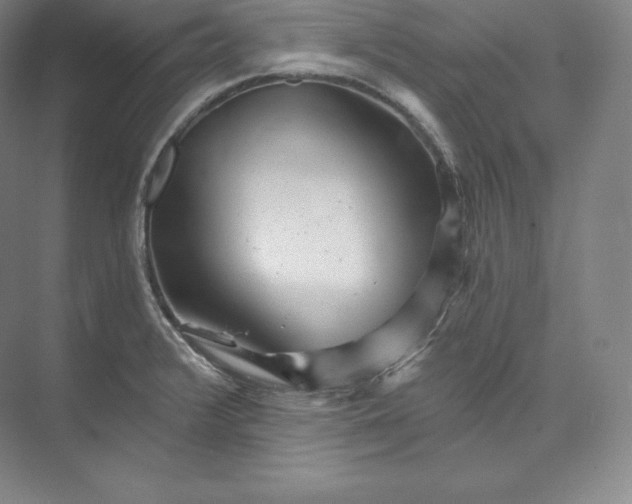 X0000073501376200608140857