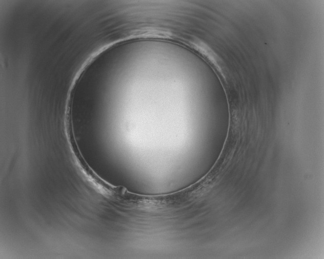 X0000073501379200608140857
