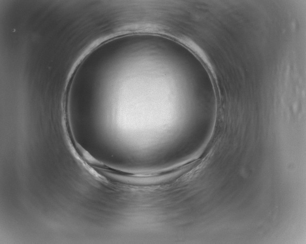 X0000073501389200608140857